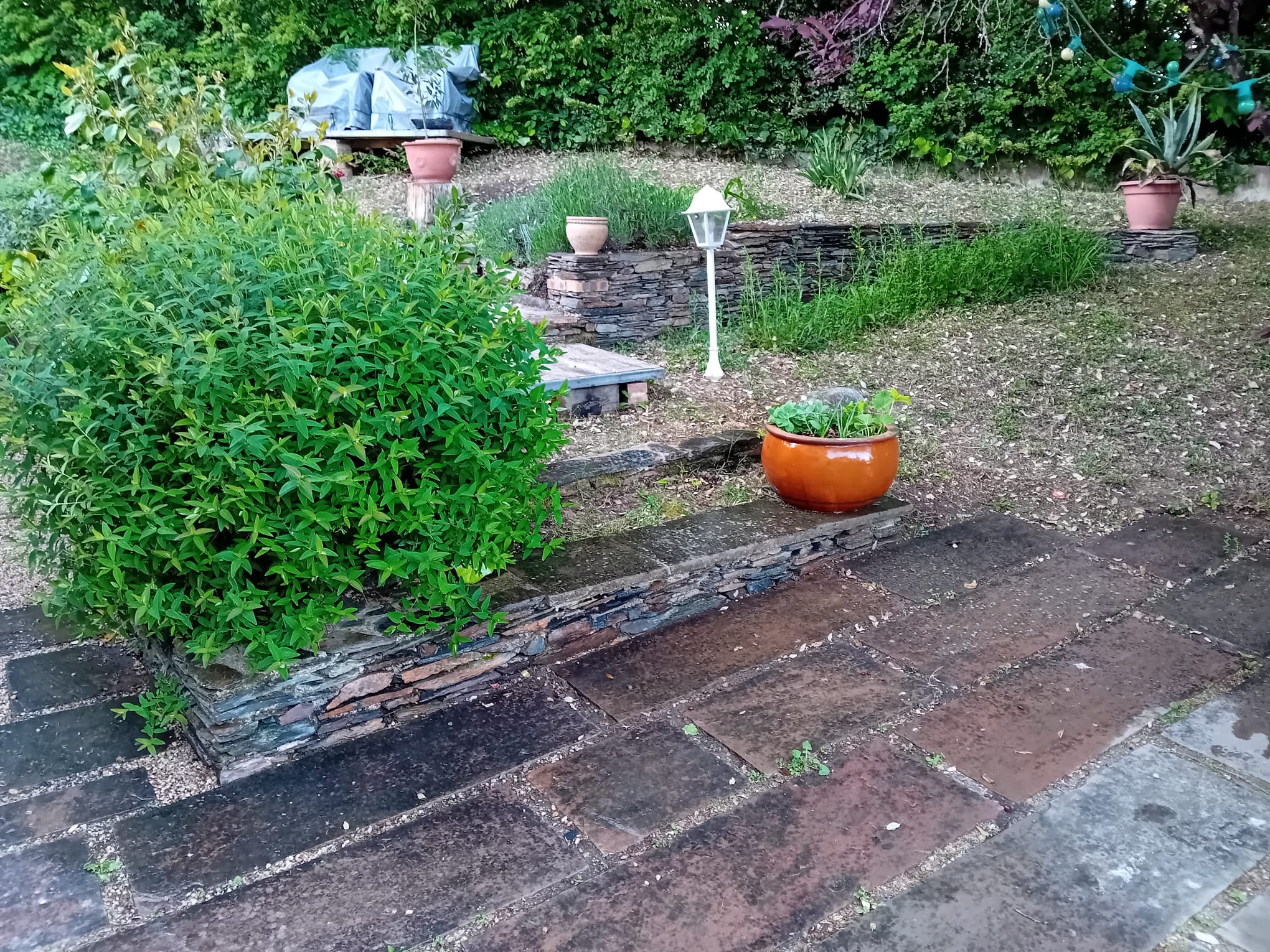 Le Jardin Arcia Studio